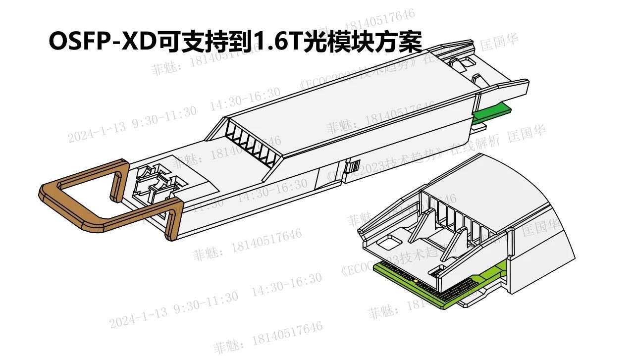 Y10（2024年度）