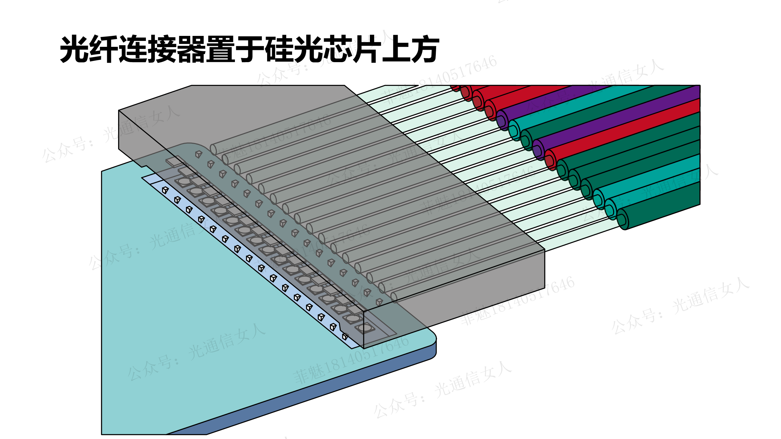 Y11T166 硅光PIC与光纤FAU扩束自对准工艺-Teramount