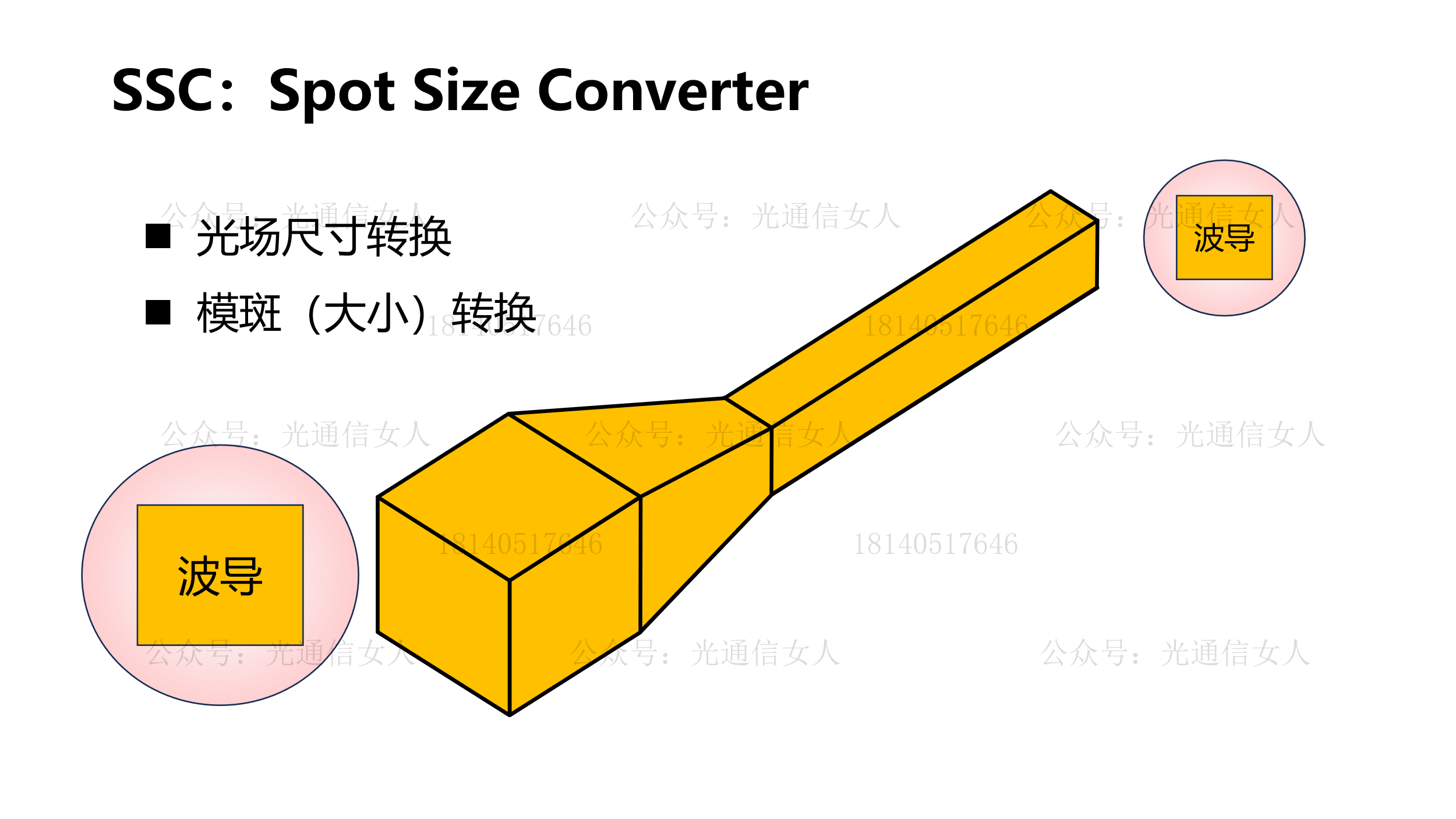 Y11T337 二维锥形SSC波导与三维锥形SSC波导