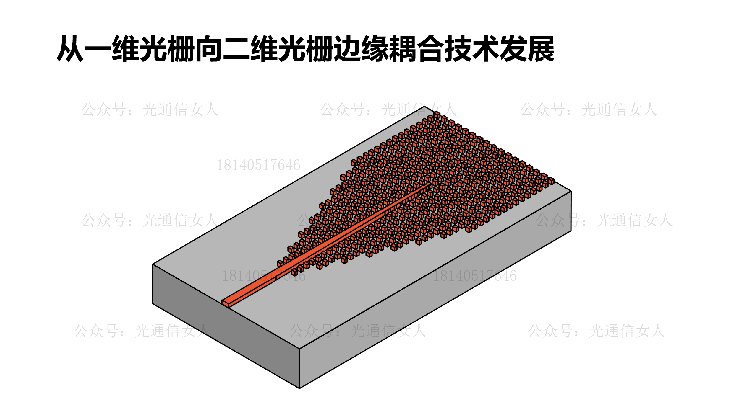 Y12T256 Lumentum：硅光芯片边缘耦合二维光栅SSC结构