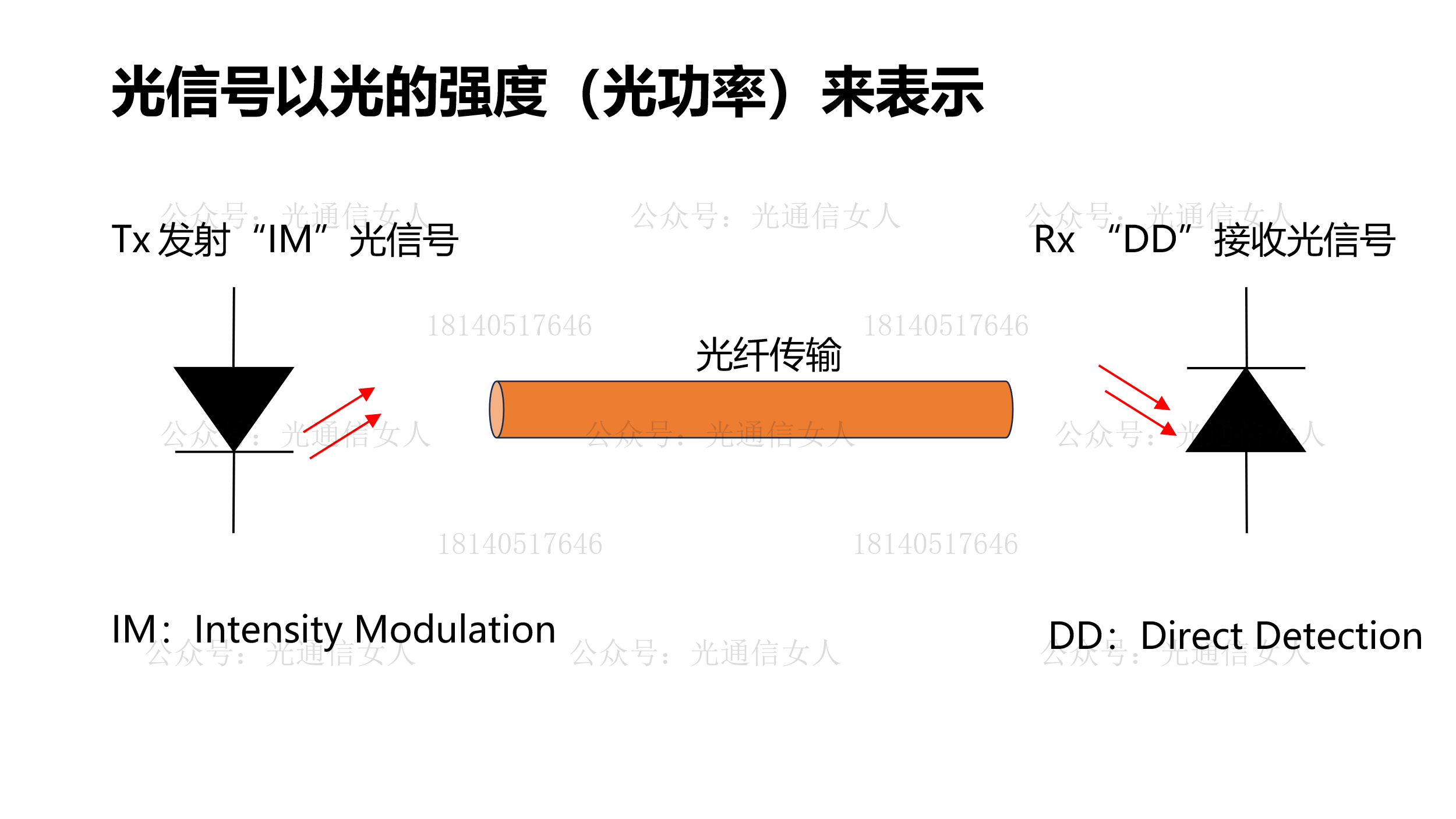 Y12T299 区分IM-DD与Coherent